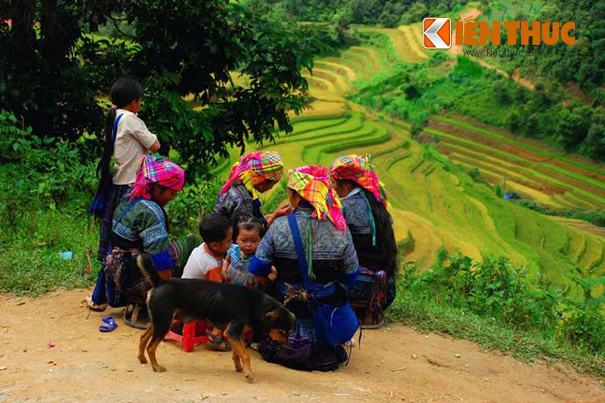 View - 	Phượt xe máy, ngắm mùa đẹp nhất trên Mù Căng Chải